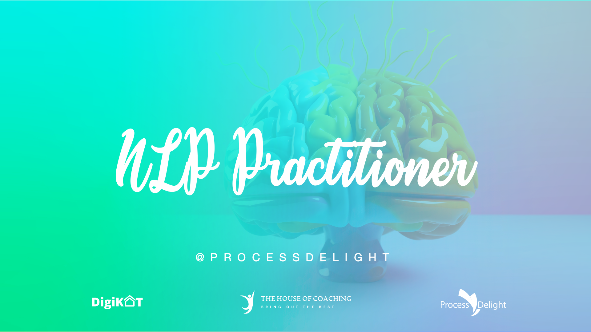 NLP Practitioner @ Process Delight