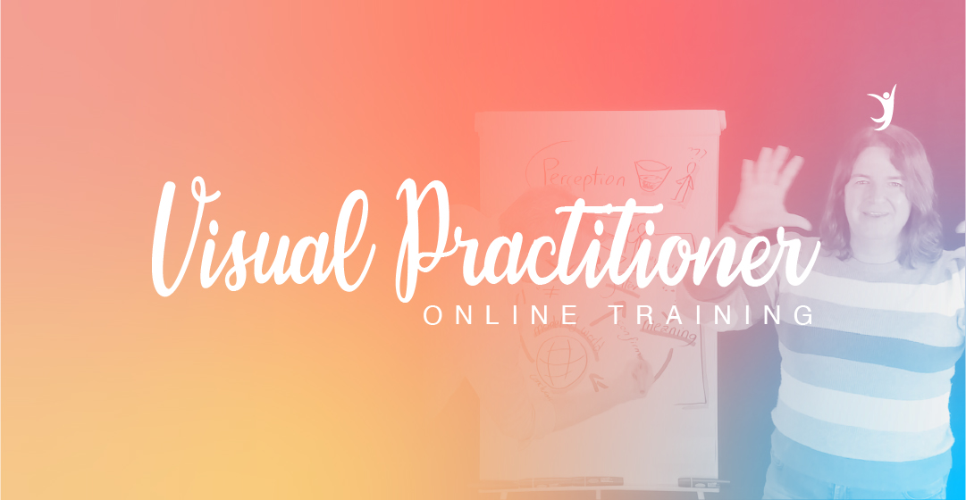 Visual Practitioner Online Training