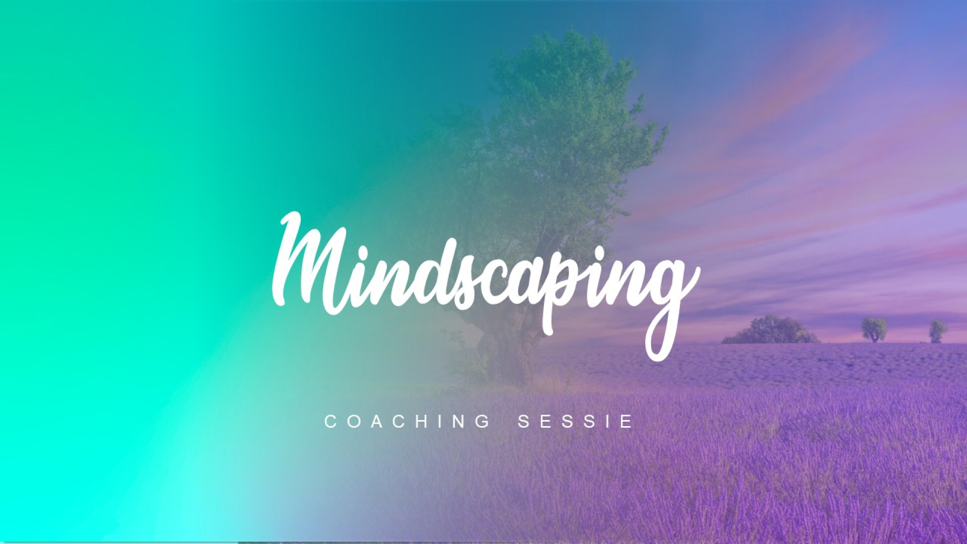 Mindscaping Coaching-sessie