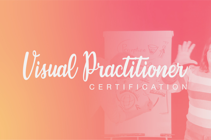 Visual Practitioner Certification